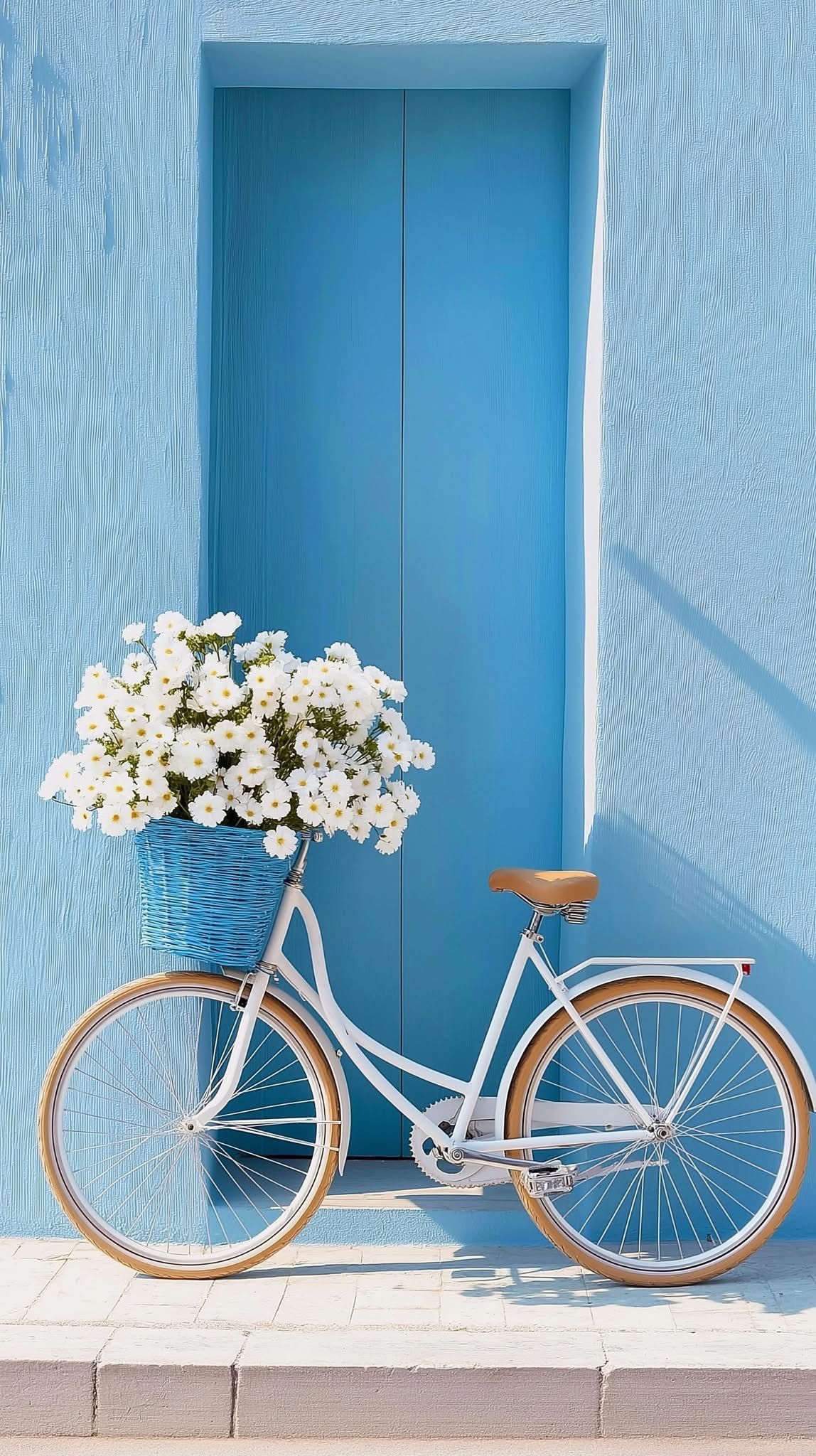 自転車の画像