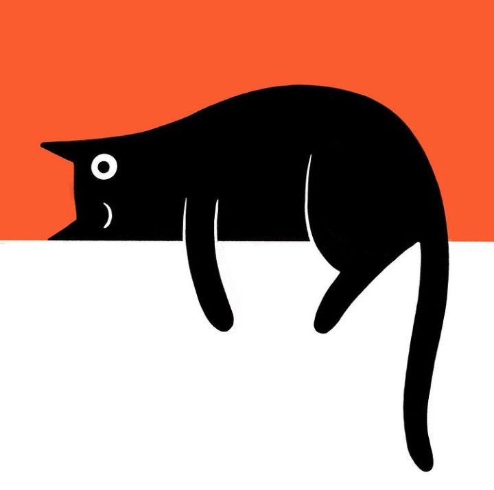 ねこ